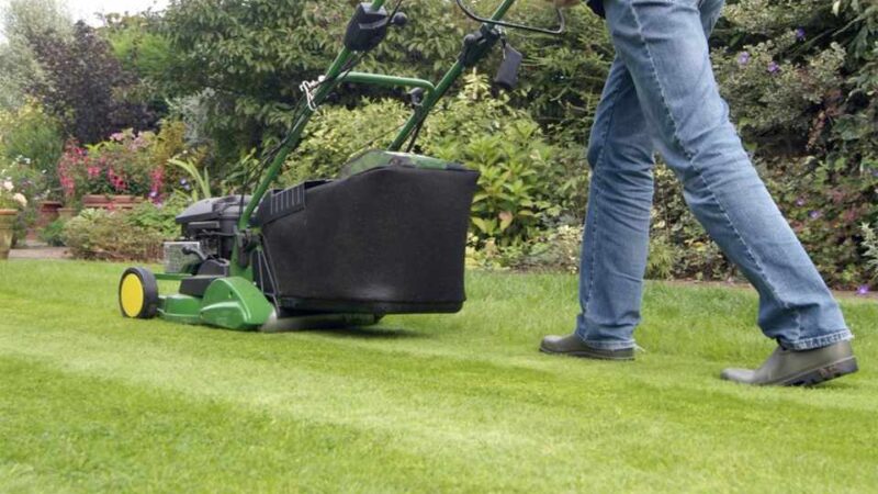 How To Redo Your Lawn Like a Pro