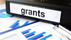 Look Into State-Specific Grants