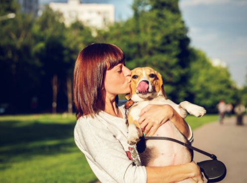 What Are An Emotional Support Animal And Its Benefits