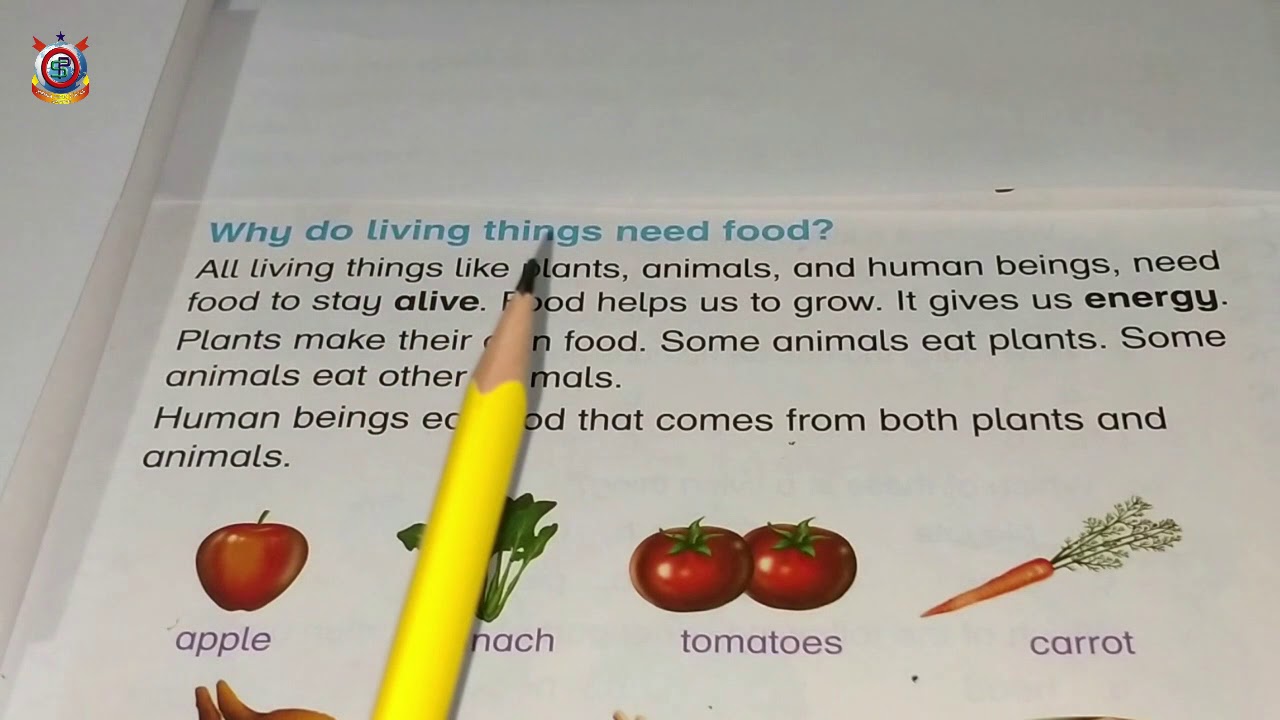 Why Do We Need Food Answer?