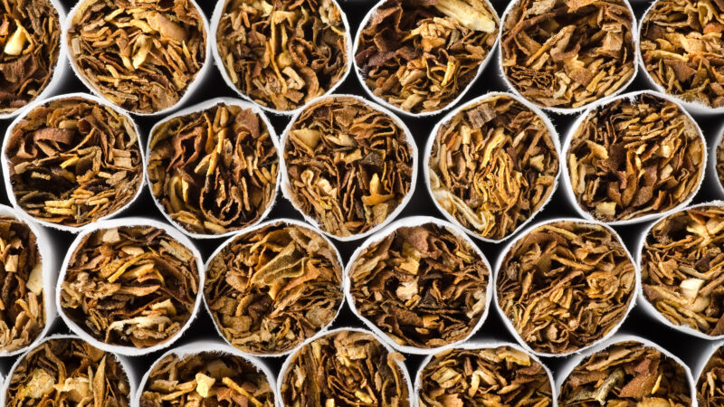 Hand-Rolled vs. Factory-Made: Unravelling the Taste Difference in Tobacco Cigarettes